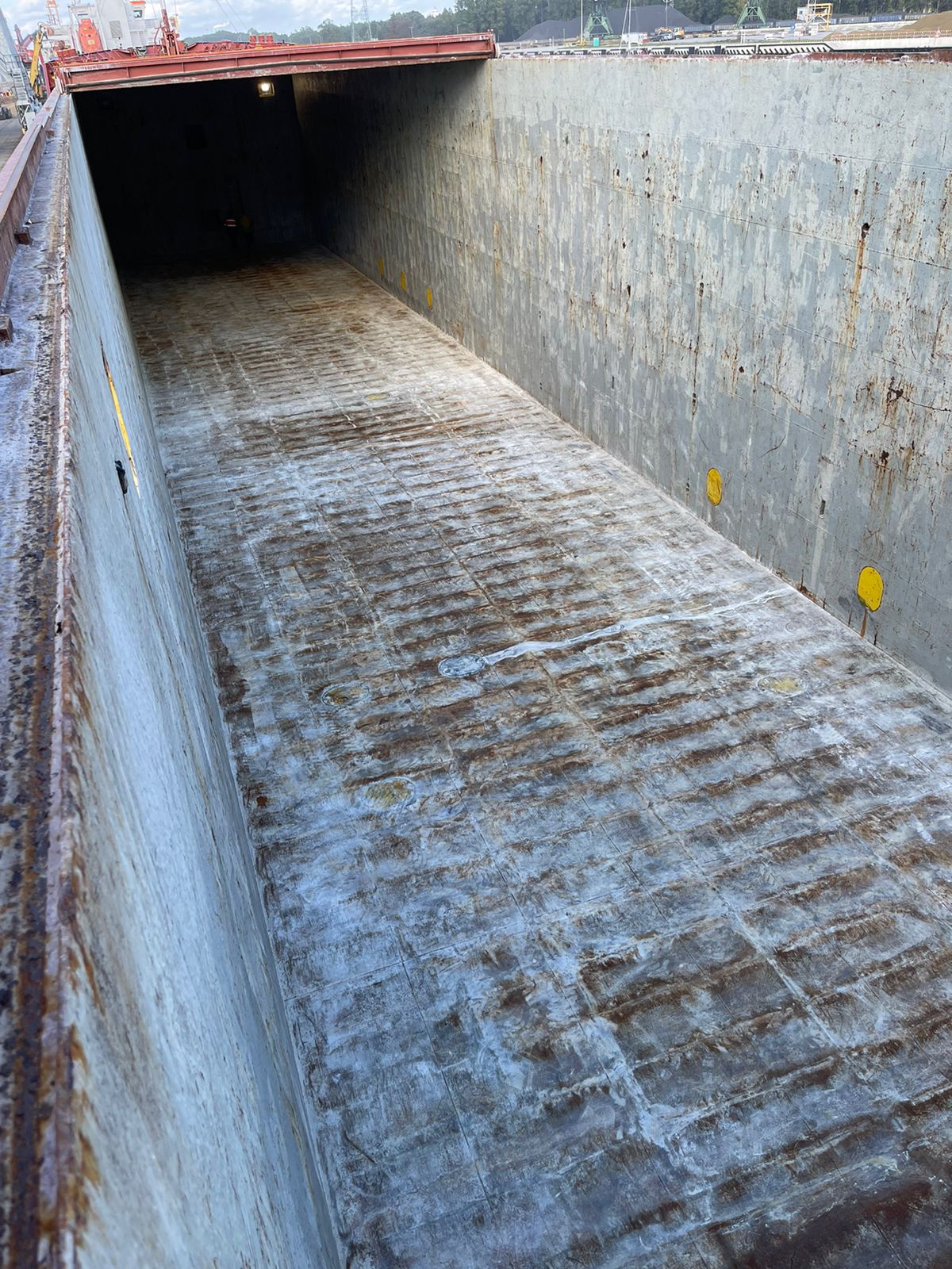 EMILIA sold www.forsa.lt